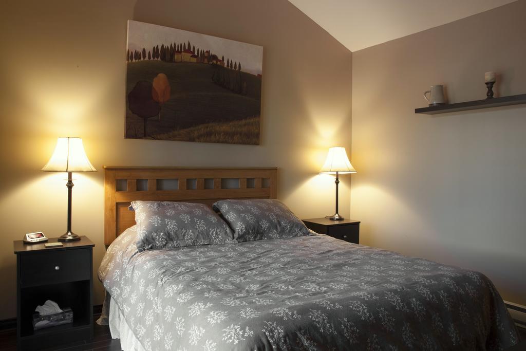 Sainte-Lucie-de-Doncaster Emme Chalets חדר תמונה
